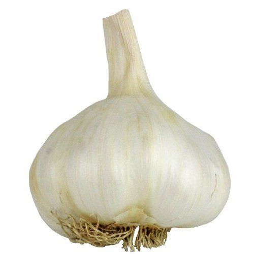 High Grade Natural White Garlic With 5 Day Shelf Life And Rich In Antioxidants Properties