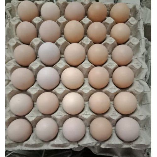 Kadaknath Hatching Eggs Protein 26 Percent Per 13 Gram And High In Mineral 