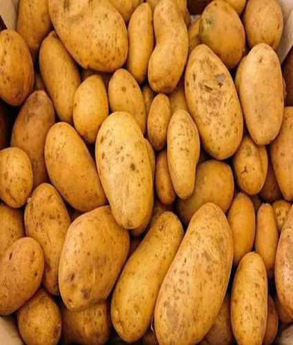 Organic Brown Potato Use For Cooking, Home, Restaurant And Snacks