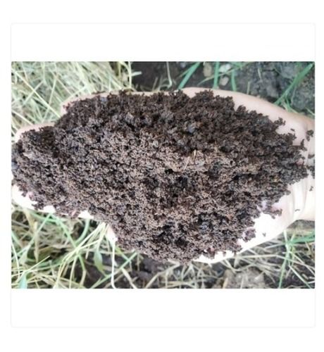 100% Pure Natural And Organic Vermicompost Used For Farming, Agriculture