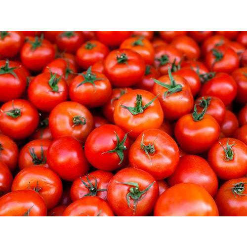 Round A Grade 100% Pure, Natural Healthy And Hygienic Fresh Tomatoes