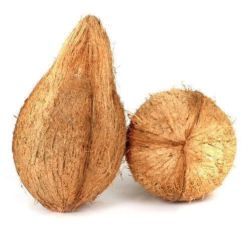 Brown Semi-Husked Coconut - Matured Variety, Fresh Style | Premium-Quality Nutrients, Rich in Natural Goodness, Supports Digestive Health