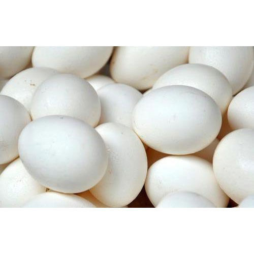 High In Protein And Cholesterol Free Chicken White Fresh Poultry Eggs