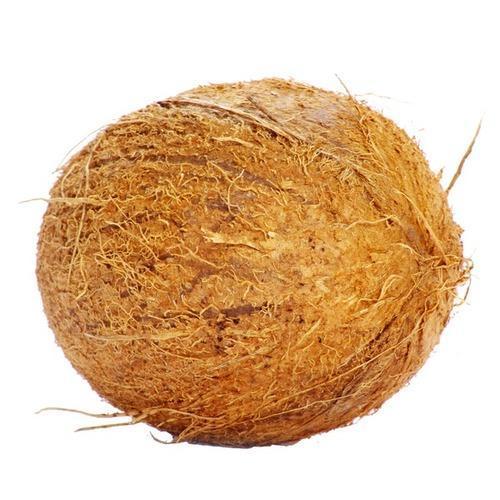 Organic Semi-Husked Matured Coconut - Whole Brown Fruit | Nutrient-Rich, Fresh Coconut Water Source, Versatile Culinary Use, Hygienically Processed