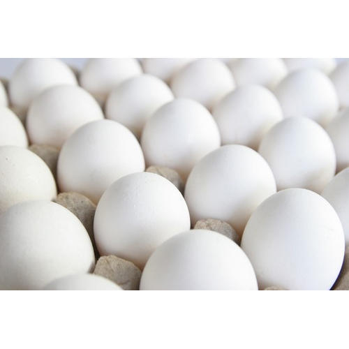 आवश्यक पोषक तत्वों से भरपूर ताजे सफेद अंडे, संज्ञानात्मक कार्य और समग्र स्वास्थ्य को बेहतर बनाने के लिए बिल्कुल सही 