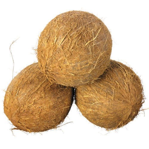 A Grade Semi-Husked Coconut - Premium Quality Rich in Nutrients, Fresh, Hygienically Processed for Cooking and Grating