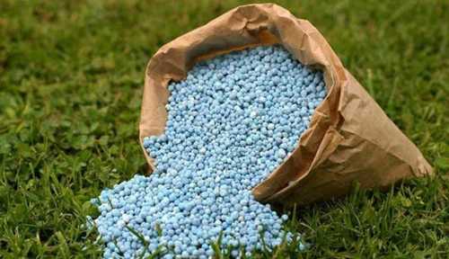 Bio Fertilizer Use For Agriculture, 98% Water Solubility, Easy & Quickly Soluble Application: Agriculture