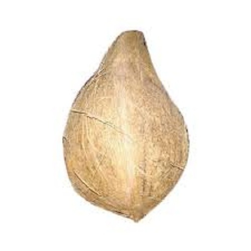 Low In Fats, Calories and Nutrients Rich Dried Raw Brown Colour Semi Husked Coconut