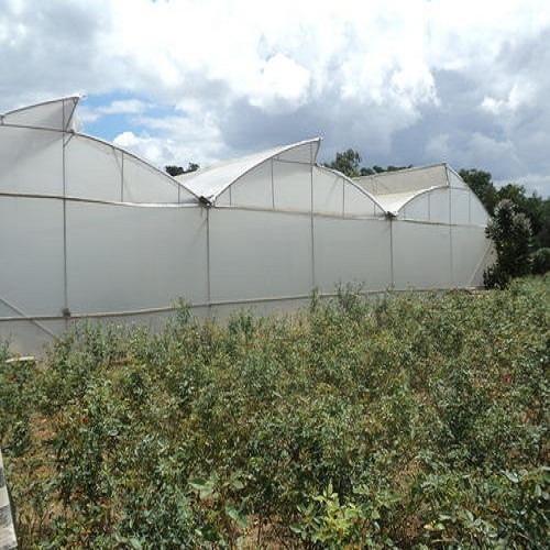 Ginegar Polyhouse Film For Flower Cultivation Waterproof And Weatherproof Lightweight