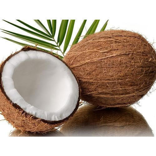 Healthy Dietary Fibre, Proteins, Minerals And Fatty Acids Enriched Round Shape Solid Fresh Coconut