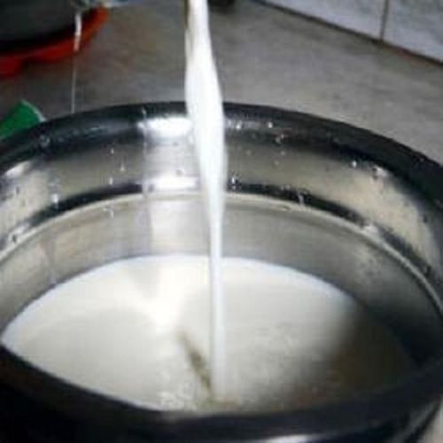 Less Fat And Cholesterol Rich Calcium And Vitamins Fresh White Buffalo Milk