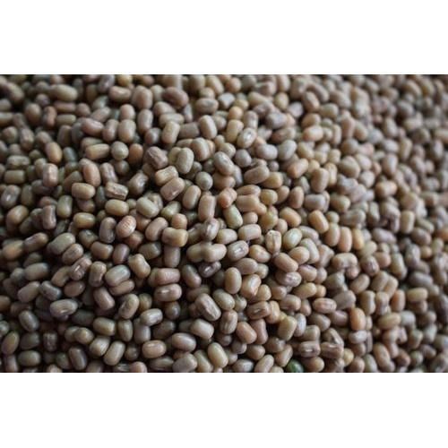 Best Price Export Quality Dried And Cleaned Organic Polished Black Whole Urad Dal