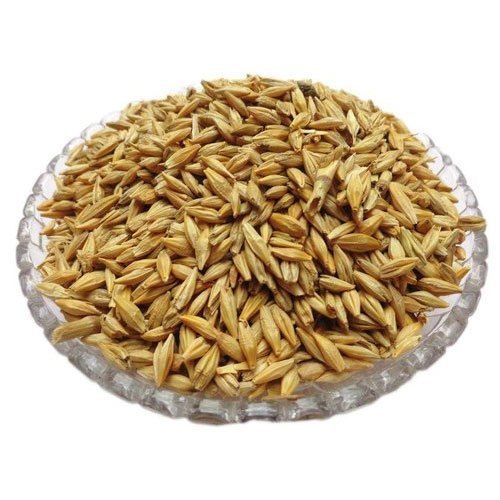 Good Source of Protein, Energy and Essential Minerals Animal Feed Barley Grain