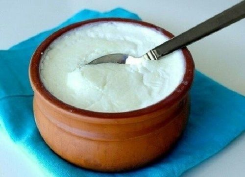 Nutritious Digestion Friendly Rich Taste Thick Creamy And Smooth Texture White Fresh Curd