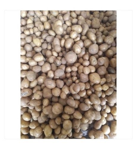 1 Kg A Grade Organic And Fresh Brown Potato For Home Cooking, Hotel Cooking