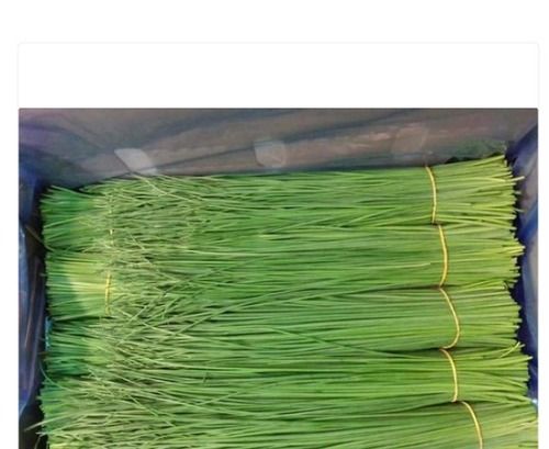 1 Kg Organic A Grade Green Drumstick Vegetable For Cooking