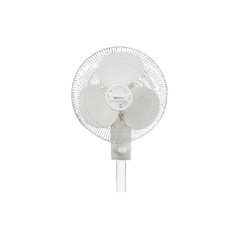 Bajaj Veloce Wall 400 Mm White Fan at Best Price in New Delhi Janta Electrical House