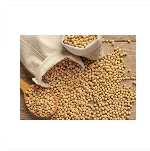 1 Kg Orville White Soya Bean Pulse For Cooking, Easy To Cook, Healthy To Eat