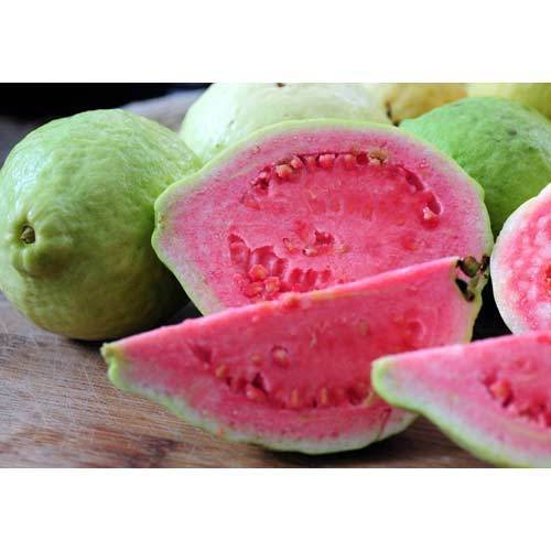  Pink Guava