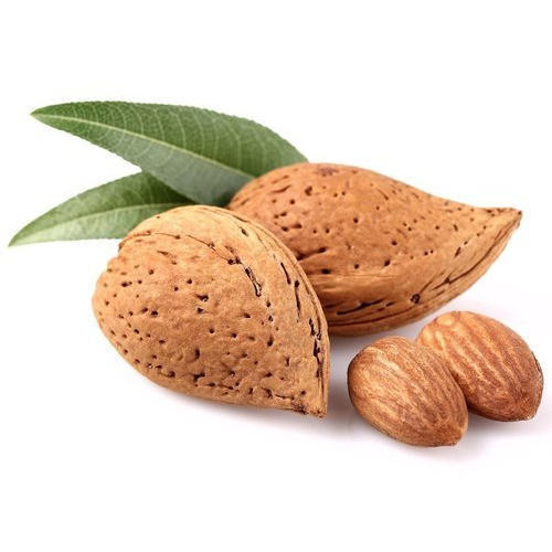 100 Percent Fresh And Organic Almond Shell With Rich Source Of High Protein 