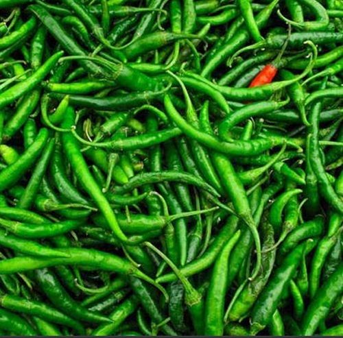 A-grade Nutritent Enriched 100% Fresh And Natural Spicy Green Chillies