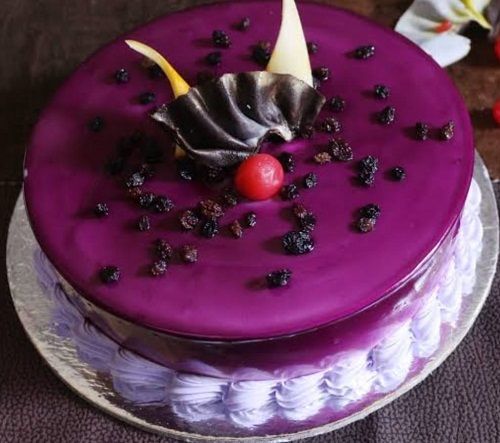 Black Currant Cake | Blueberry Plant | Nature | Bio | Trichy