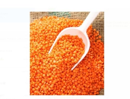 Pure Organic Split Orange Masoor Dal With High Nutritious Value