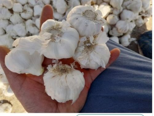 100 Percent Fresh And Pure A Grade Garlic Best Quality White Colour Size 48 54 Mm