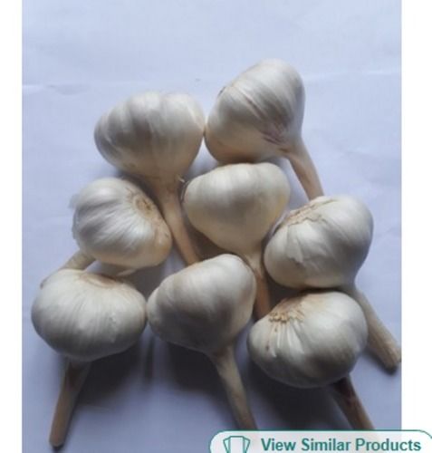 100 Percent Fresh And Pure A Grade Riyawan Garlic White Colour Size 35 To 40 Mm