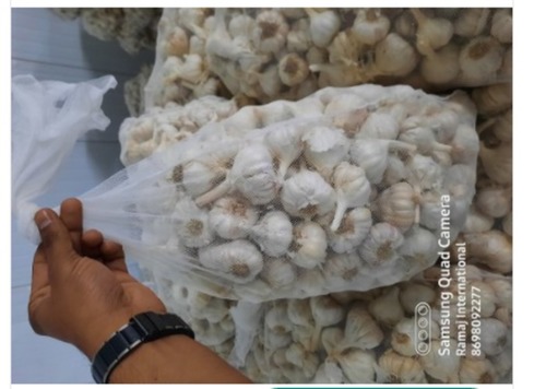 100 प्रतिशत ताजा और शुद्ध ए ग्रेड लहसुन निर्यात गुणवत्ता का आकार 30 मिमी सफेद रंग