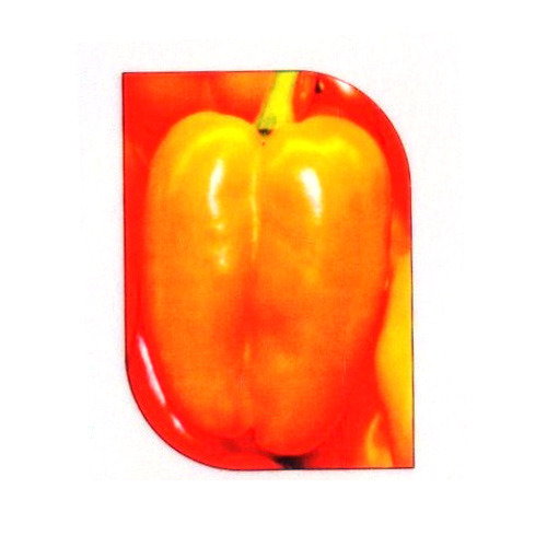 100 Percent Fresh And Healthy Capsicum Vegetables Seed For Cooking - Organic Varietals, Green Color, 3% Admixture, 4% Moisture, 100% Purity, 6 Months Shelf Life