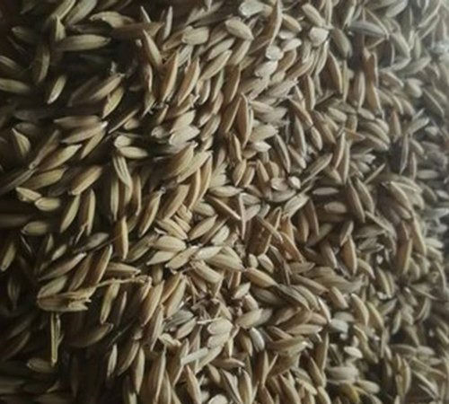 100 Percent Pure And Natural Husky Long Grain Paddy Rice Brown Colour With Good Taste Admixture (%): 2%