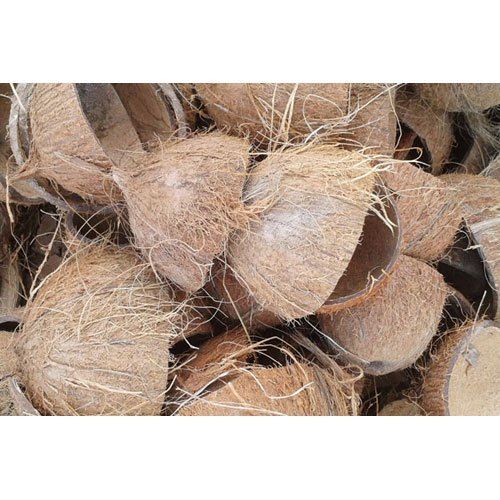 raw coconut shell