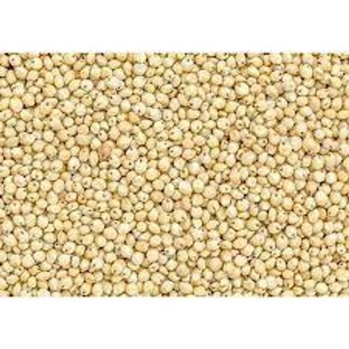 Natural And Fresh White Sorghum Grains With 1 Year Shelf Life