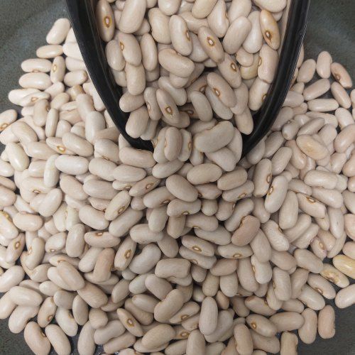 Organic Indian Cuisine White Beans, High In Protein