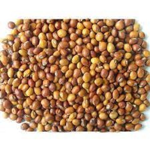 Brown Organically Cultivated Dried Pigeon Peas