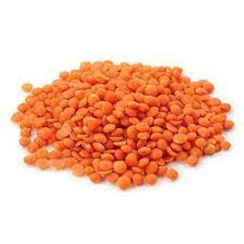 Pure Organic Red Lentils For Cooking Use