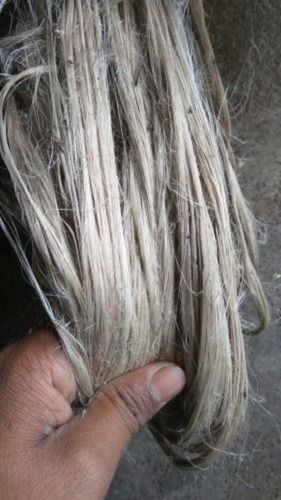 100 Percent Natural Raw Sisal Fiber And Eco Friendly Fiber Strength 880 N Application: Any Use