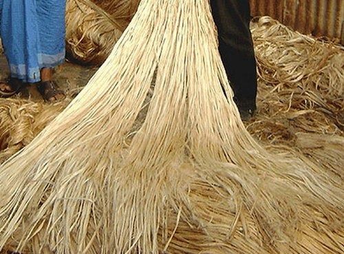 100 Percent Pure Raw Brown Jute Fiber Usage For Making Twine Ecofriendly And Durable Weight: 1  Kilograms (Kg)