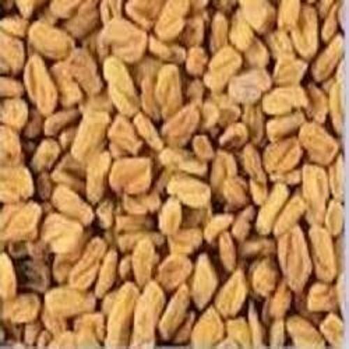 Common A Grade Light Brown Brinijal Seeds With 6 Months Shelf Life And Rich In Omega-3 Fatty Acids