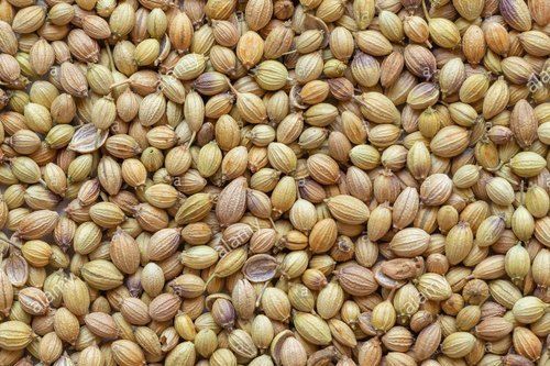 Brown And Natural Pure Coriander Seeds(Rich Source Of Antioxidants)