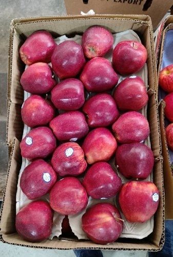 Fresh And Healthy Good Source Of Dietary Fiber Fairly Sweet Red Apples