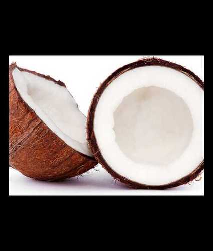 Fresh Coconut Medium Size 350 Gram Brown Color, It Is Rich In Dietary Fiber
