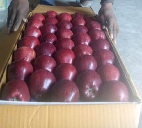 Healthy Good Source Of Dietary Fiber And Vitamins Fairly Sweet Red Apples