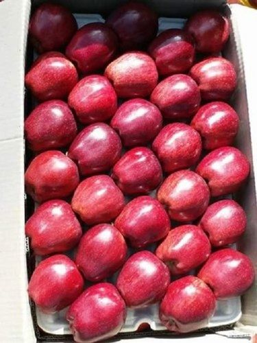 Natural And Healthy Good Source Of Dietary Fiber Fairly Sweet Red Apples