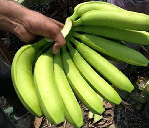 Natural Fresh Healthy Good Source Of Vitamins And Calcium Yellow Banana