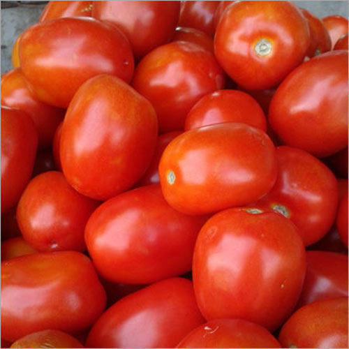 Round Red And Healthy Fresh Tomato, High In Dietary Fiber, Vitamin C, Potassium, Vitamin A And Manganese