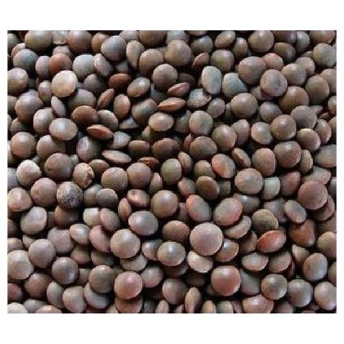 Black 100% Pure Masoor Dal Healthy And Fresh Pebble Free For Cooking