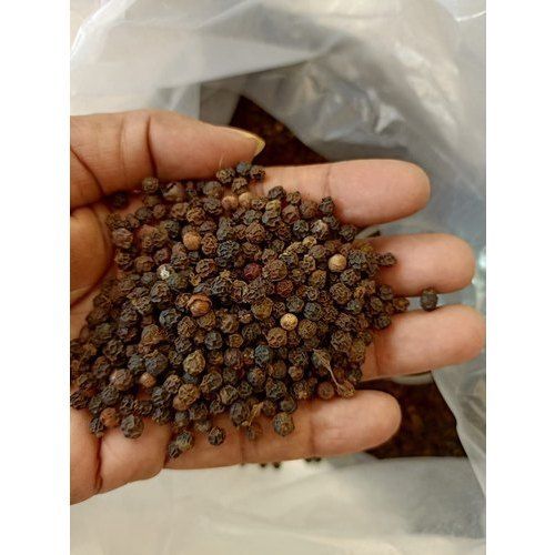 No Artificial Color Pure Rich In Taste Healthy Dried Black Pepper Seeds