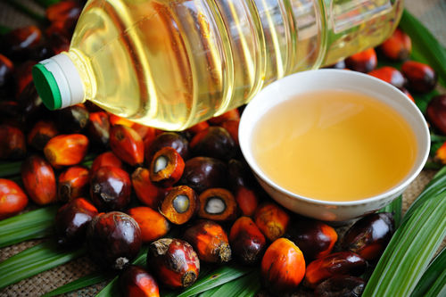 RBD Palm Oil For Cooking